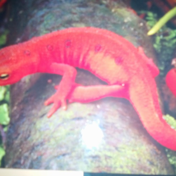 Profile Picture of Devonte Brown (@wavydb) on Poshmark