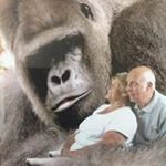 Profile Picture of David Blizard (@dblizard) on Instagram