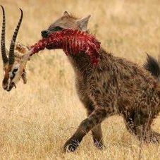 Profile Picture of Jeff Mcmains (@McmainsJeff) on Twitter