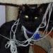 Profile Picture of Sherry Statler (@slstatler3) on Pinterest