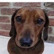 Profile Picture of Drew Mason (@drewmason562) on Youtube