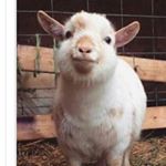 Profile Picture of Jason/the New Kid (@jason_and_jerzey_slimes) on Instagram