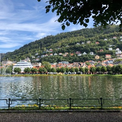 Profile Picture of Lisa Draper (@lisadraper1) on Twitter