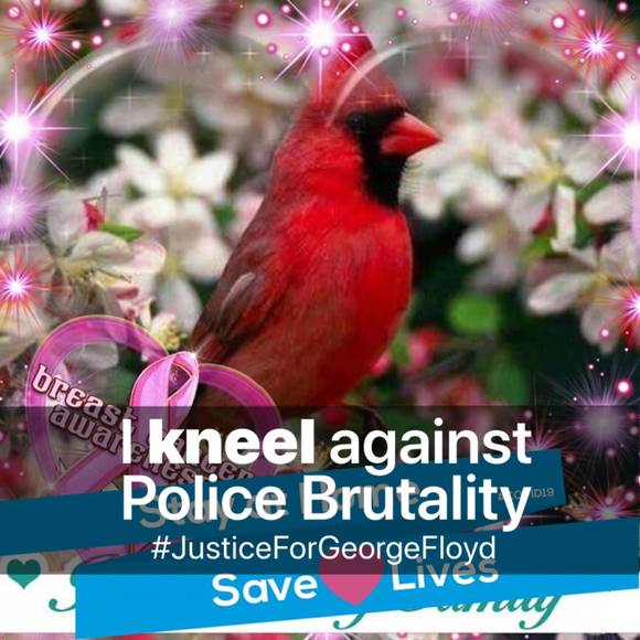 Profile Picture of Janet Finneman (@finneman) on Poshmark