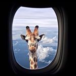 Profile Picture of Sheila Kandou (@keilashandou) on Instagram