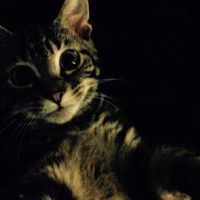 Profile Picture of Regan Moore (@reganmoore25) on Twitter