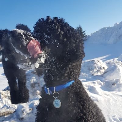 Profile Picture of Greg Rideout (@gregory_j_) on Twitter