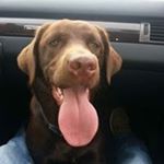 Profile Picture of Jacqueline Hauptmann (@jacquelinehauptmann) on Instagram