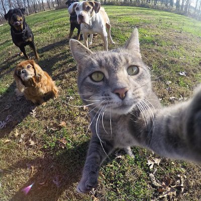 Profile Picture of Mike Menzer (@MenzerMike) on Twitter