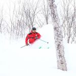 Profile Picture of Josh Osborne (@jawshosborne) on Instagram