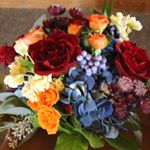 Profile Picture of Cynthia Bernasky (@oakmountpetals) on Instagram