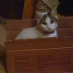 Profile Picture of Barry McFadden (@barrymcfadden) on Instagram