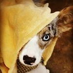 Profile Picture of Christopher Cusack (@bunnydad23) on Instagram