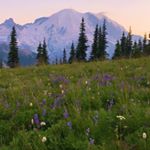 Profile Picture of Cynthia Whitlock (@cindylou2333) on Instagram