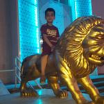 Profile Picture of hoveida (@hoveida9883) on Instagram