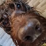 Nathan Balckledge - Facebook Profile Picture of Nathan Balckledge (@Nathan-Balckledge) on Facebook