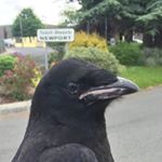 John Berkery - Instagram Profile Picture of John Berkery (@johnberkery) on Instagram