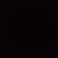 Profile Picture of mauricecollier681 (@mauricecollier681) on Tiktok