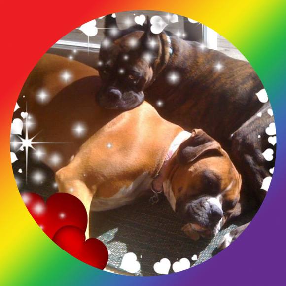 Tammy Jefferson - Poshmark Profile Picture of Tammy Jefferson (@tammysjeff) on Poshmark