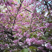 Profile Picture of Benjamin Li (@benjaminli3808) on Youtube