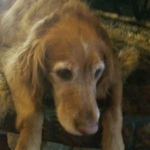 Profile Picture of Jon Devitt (@jondevitt) on Twitter