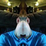 Profile Picture of Jace Guidry,NBA Youngboy (@jace.guidry) on Instagram