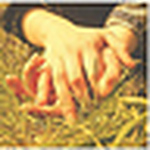 Profile Picture of Eras t? lo que yo quer?a (@Somos lo que fuimos) on Flickr