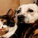 Profile Picture of Kathy Walter (@kottwalter) on Pinterest
