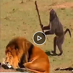 Profile Picture of Richard Ross (@wellnessbuff1) on Flickr