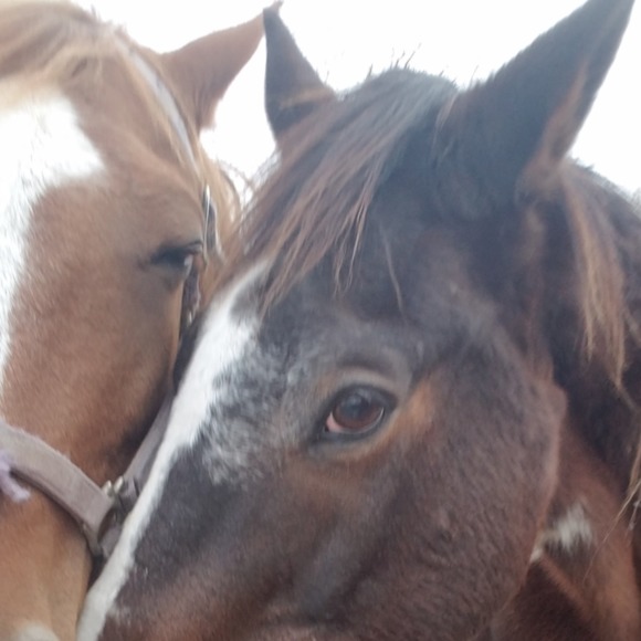 Profile Picture of Beatriz sophia Cano-zuniga (@beatrizsophia) on Poshmark