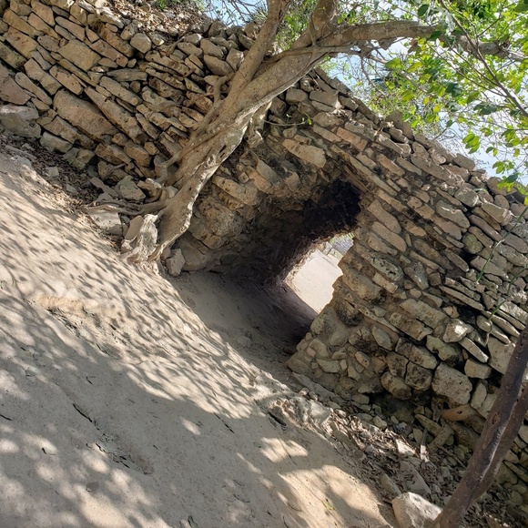 Profile Picture of Alexa Guzman (@alexaguzmanr06) on Poshmark