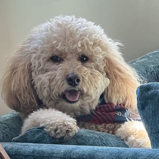 Profile Picture of Jon Rubinstein (@authenticjon) on Instagram