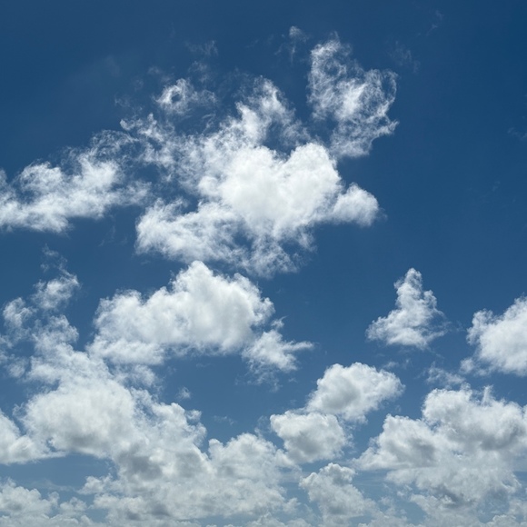 Profile Picture of Erica Geertsen (@sportynchic14) on Poshmark