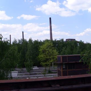 Profile Picture of Ralf Maas (@ralf.maas.980) on Facebook