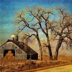 Profile Picture of Peter Niemi (@Peter-Niemi) on Facebook