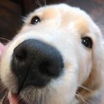 Profile Picture of Robert Haugland (@robert.haugland.9) on Instagram