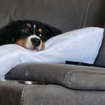 Profile Picture of Benjamin Pauls (@Benjamin-Pauls) on Facebook