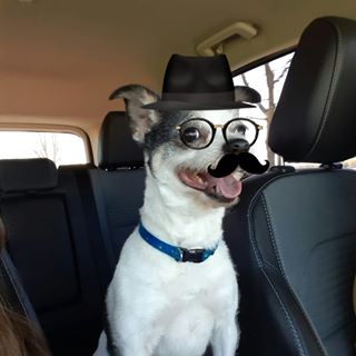 Profile Picture of Floyd Sickling (@floyd.sickling) on Facebook
