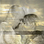 Profile Picture of Markleychic (@markleychic) on Flickr