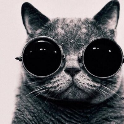 Profile Picture of Aaron Wilson-Suchy (@SirSuchy) on Twitter