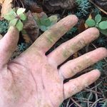 Kim Mattingly - Instagram Profile Picture of Kim Mattingly (@blackswampgirl) on Instagram