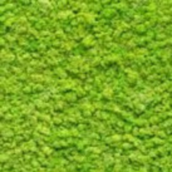 Profile Picture of Lucja Alarid (@hobnit) on Poshmark