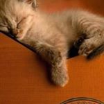 Profile Picture of Thomas Szymczak (@tomi.nr31) on Instagram