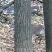 Profile Picture of Matthew Vargo (@turbo300zx03) on Youtube