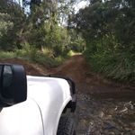 Profile Picture of Cameron bull 💯nissan 💯 (@ca.meron1562) on Instagram