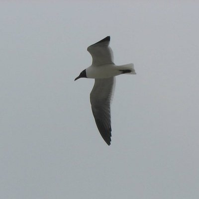 Profile Picture of LuAnn Benson (@lulus_hope) on Twitter