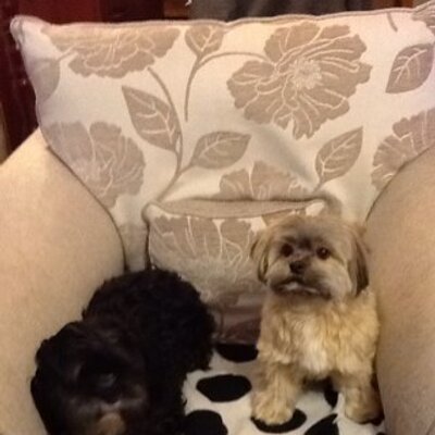 Profile Picture of Ben Poston (@@pbennnie) on Twitter