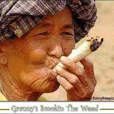 Profile Picture of Alex Lashley (@kingzransum) on Twitter