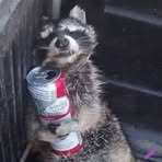 Robert Allwardt - Facebook Profile Picture of Robert Allwardt (@robert.allwardt.5) on Facebook