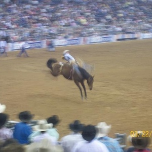 Profile Picture of Ginger Free (@355698989) on Myspace